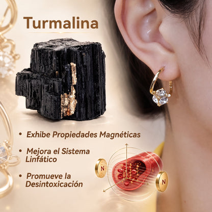 （ÚLTIMO DÍA DE OFERTA - 80% OFF🔥)👩‍⚕️🎁 𝐂𝐙𝐓𝐈𝐂𝐋𝐄® 𝐋𝐲𝐦𝐩𝐡𝐯𝐢𝐭𝐲 𝐀𝐫𝐞𝐭𝐞𝐬 𝐃𝐞 𝐆𝐞𝐫𝐦𝐚𝐧𝐢𝐨 𝐂𝐨𝐧 𝐌𝐚𝐠𝐧𝐞𝐭𝐨𝐭𝐞𝐫𝐚𝐩𝐢𝐚